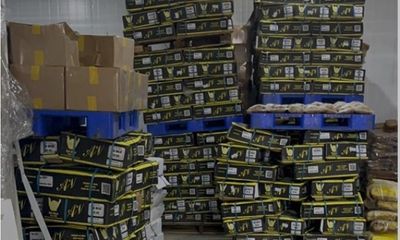 Đồng Nai: Phát hiện hơn 25 tấn thực phẩm không rõ nguồn gốc 