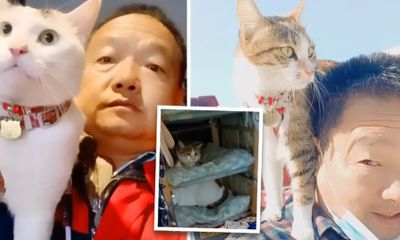 Dân mạng “phát sốt” với câu chuyện tài xế xe tải rong ruổi trên đường cùng 3 chú mèo