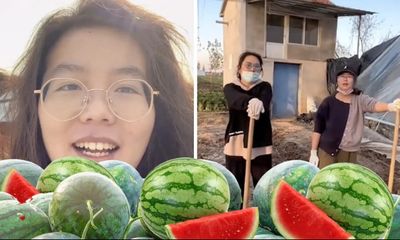 Tốt nghiệp thạc sĩ tại đại học hàng đầu, cô gái bất ngờ nghỉ việc lương cao để đi trồng dưa