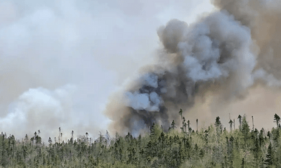 Canada: Nhiệt độ cực cao và gió mạnh đe dọa cháy rừng nghiêm trọng tại Nova Scotia