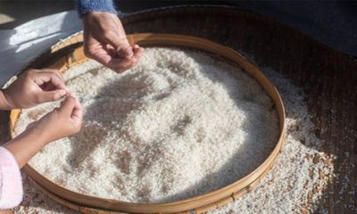 Giá gạo châu Á chạm mức cao nhất trong hơn 2 năm qua do El Nino