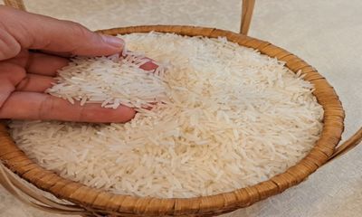Giá gạo châu Á tăng lên mức cao nhất trong 3 năm qua
