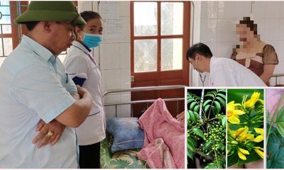 Nghệ An: Kịp thời cứu sống học sinh 11 tuổi ăn lá ngón tự tử