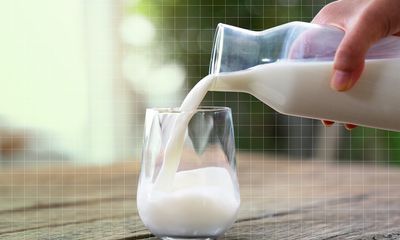 Uống sữa tươi chưa tiệt trùng, bạn có thể gặp những rủi ro gì?
