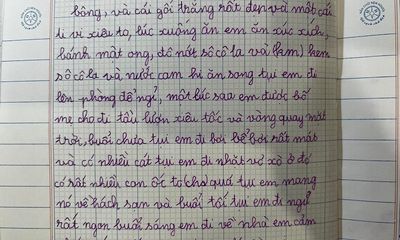 Chuyện học đường - Bài văn kể về chuyến đi chơi của cô bé tiểu học khiến dân tình bật cười thích thú