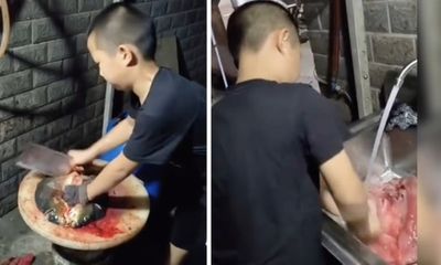 Bé trai 8 tuổi gây choáng với kỹ năng mổ cá thuần thục như đầu bếp chuyên nghiệp