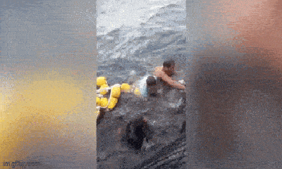 Clip: Ngư dân hợp lực giải cứu chú cá voi bị mắc kẹt trên biển