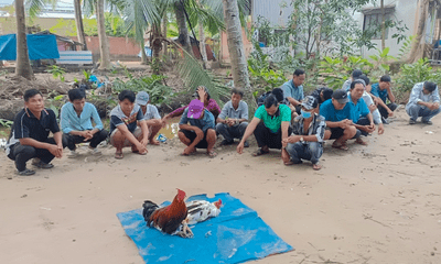 Vĩnh Long: Hàng chục người tụ tập trong khu vườn dừa đánh bạc