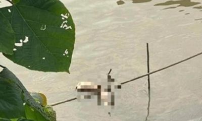Bắt giữ nghi phạm phân xác cô gái trẻ rồi đổ xi măng ở Hà Nội