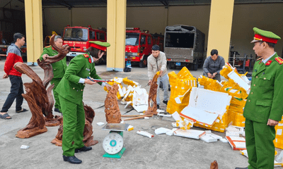Dùng xe thư báo để vận chuyển gỗ lậu ở Hà Giang