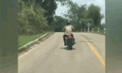 Video: Đang bò trên đường, rắn độc bất ngờ bay lê không trung đớp chân người đi xe máy