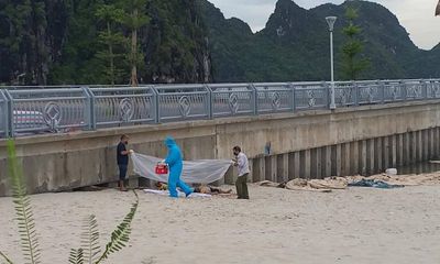 Ngư dân kinh hãi phát hiện thi thể thanh niên mắc vào lưới ở bãi tắm Hòn Gai