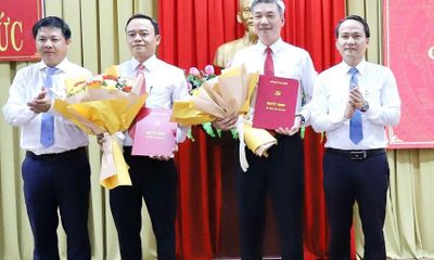 Phó trưởng Ban Tổ chức Thành ủy Đà Nẵng xin nghỉ hưu trước tuổi