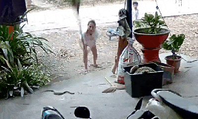 Video: Phát hiện rắn hổ mang, người phụ nữ cầm chổi đánh tới tấp