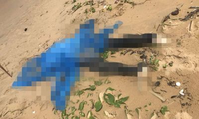 Tin trong nước - Vụ 7 thi thể nam nữ trôi dạt vào bờ biển Phú Quốc: Tìm thấy 2 CCCD Trung Quốc