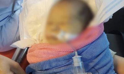 Bé gái sơ sinh bị bỏ rơi giữa rừng ở Quảng Nam vừa tử vong