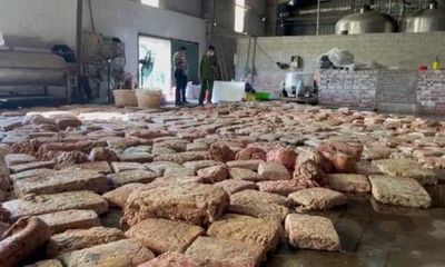 Phát hiện 12 tấn lòng lợn thối ở Quảng Ninh: Người Trung Quốc điều hành