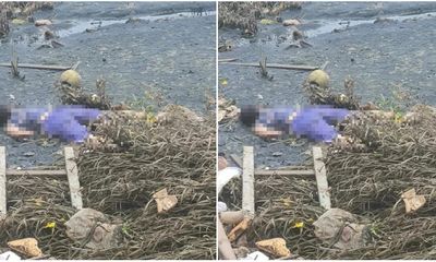 Vụ thi thể phụ nữ dạt trên sông ở TP.HCM: Nạn nhân khoảng 50 tuổi, mặc áo hoa, quần màu tím