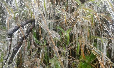 Nhiệt độ xuống -1 độ C, băng giá xuất hiện ở Mèo Vạc