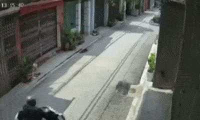 Video: Xe máy đấu đầu kinh hoàng trong nhõ nhỏ, 2 người văng xuống đường