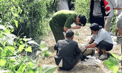 Nghi con trai sát hại mẹ già 93 tuổi ở Nghệ An: Nghi phạm bị bệnh tâm thần