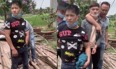 Rủ nhau mang rắn hổ mang chúa từ Lạng Sơn về Hà Nội tiêu thụ, 2 thanh niên bị bắt
