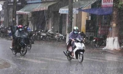 Tin tức dự báo thời tiết hôm nay 12/11: Nam Bộ có mưa rào và dông