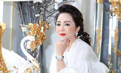 Bà Nguyễn Phương Hằng là ai, có ồn ào gì với nghệ sĩ và vì sao bị bắt?