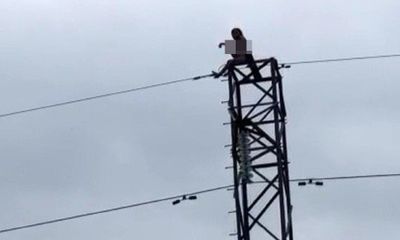 Giải cứu người phụ nữ khỏa thân la hét trên cột điện cao thế
