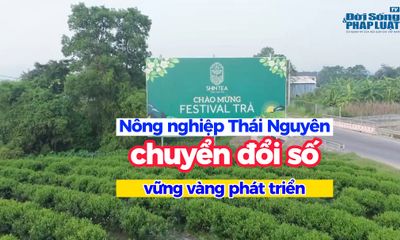 Nông nghiệp Thái Nguyên - Chuyển đổi số vững vàng phát triển