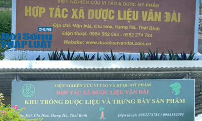 HTX Vân Đài có dấu hiệu mạo danh Học viện Nông nghiệp Việt Nam