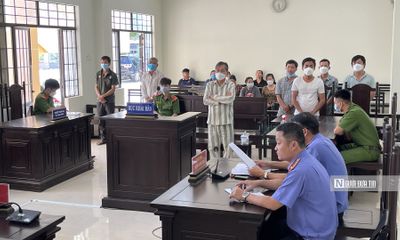 Bình Thuận: Trưởng BQL rừng phòng hộ La Ngà cùng nhân viên khai thác gỗ trái phép lãnh án tù