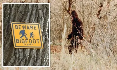 Lý giải bí ẩn tin đồn về quái vật Bigfoot