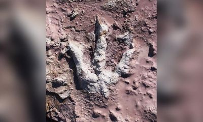 Ba Lan phát hiện hàng trăm dấu chân khủng long được bảo quản tốt chưa từng thấy từ 200 triệu năm trước