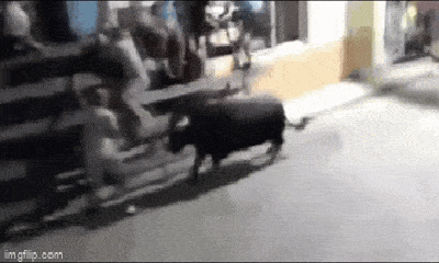 Video: Bò đực nổi điên, húc văng người đàn ông 