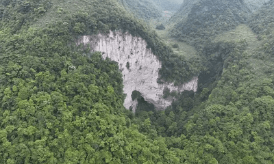 Phát hiện khu rừng cổ thụ dưới đáy hố sụt khổng lồ ở Trung Quốc