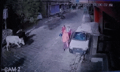 Video - Video: Hoảng hốt khoảnh khắc cây xanh bật gốc đột ngột, đè trúng nhiều người đi đường ở Ấn Độ 