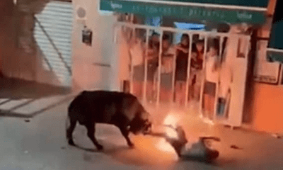 Người đàn ông bị húc tử vong tại lễ hội đốt bò Tây Ban Nha 