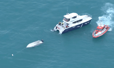 Lật thuyền ở New Zealand khiến 5 người thiệt mạng, nghi do va chạm với cá voi
