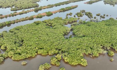 Thái Bình: Không có việc xóa sổ khu bảo tồn thiên nhiên đất ngập nước Tiền Hải