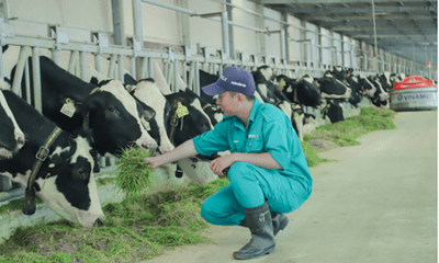 Đại diện Vinamilk: Thị trường sữa sẽ phát triển bền vững trong thời gian tới