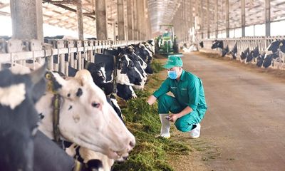 Vinamilk đại diện duy nhất từ Đông Nam Á chia sẻ mô hình phát triển bền vững “Green Farm” tại Hội nghị sữa toàn cầu