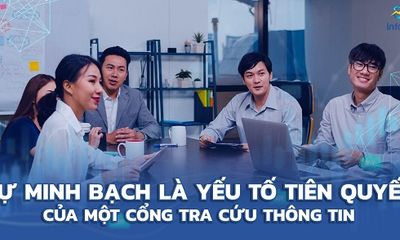 InfoFinance Việt Nam | Vì sao nhà đầu tư cần một cổng tra cứu thông tin