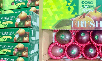 Cần biết - Đồng Xanh Farm đưa trái cây Việt chinh phục những thị trường khó tính trên thế giới