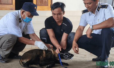 Đắk Lắk: Tử vong nghi do bệnh dại sau 3 tháng bị chó nhà cắn nhưng không tiêm vaccine