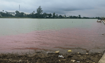 Vụ nước sông Hiếu ở Quảng Trị chuyển màu đỏ bất thường: Lấy mẫu kiểm tra