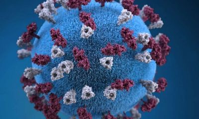 Cảnh báo chủng virus đột biến kép mới xuất hiện ở Ấn Độ, nguy hiểm ngang Delta