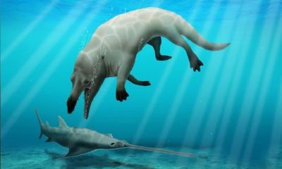 Phát hiện cá voi bốn chân sống tại Ai Cập 43 triệu năm trước