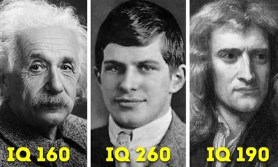 Cuộc đời đầy bất hạnh của thiên tài sở hữu IQ cao nhất thế giới, vượt xa cả Einstein và Newton