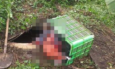 Thanh Hóa: Điều tra vụ phát hiện thi thể nữ giới dưới hầm biogas